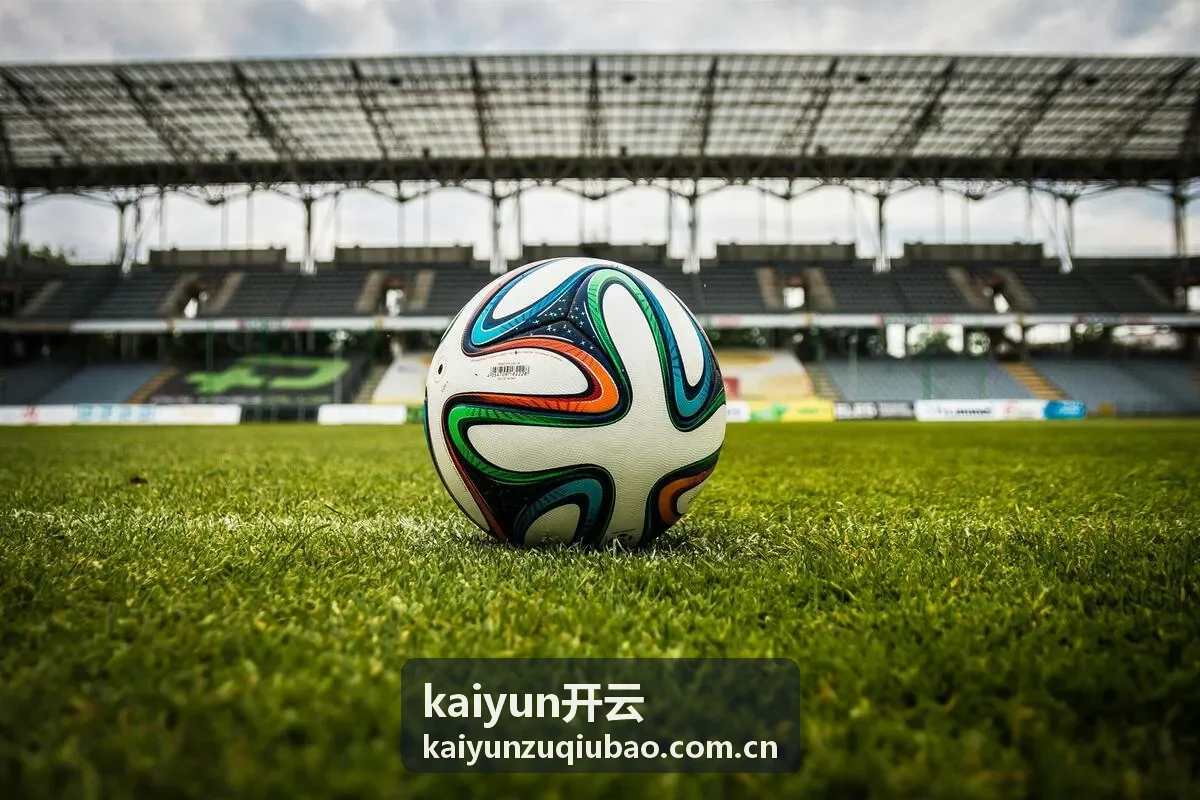 kaiyun开云 - 时装皮具品牌方向